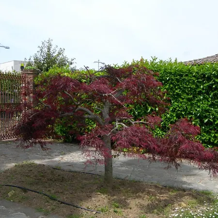L Agrifoglio Bed & Breakfast